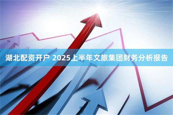 湖北配资开户 2025上半年文旅集团财务分析报告