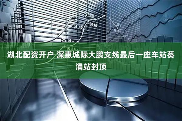 湖北配资开户 深惠城际大鹏支线最后一座车站葵涌站封顶
