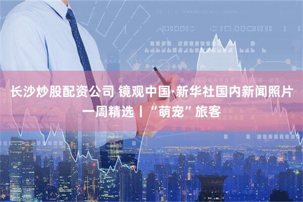 长沙炒股配资公司 镜观中国·新华社国内新闻照片一周精选丨“萌宠”旅客