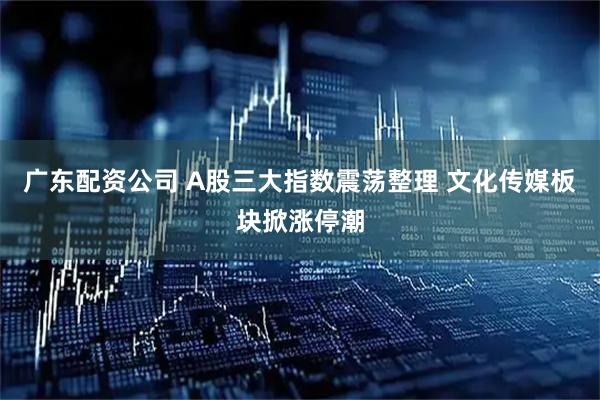 广东配资公司 A股三大指数震荡整理 文化传媒板块掀涨停潮