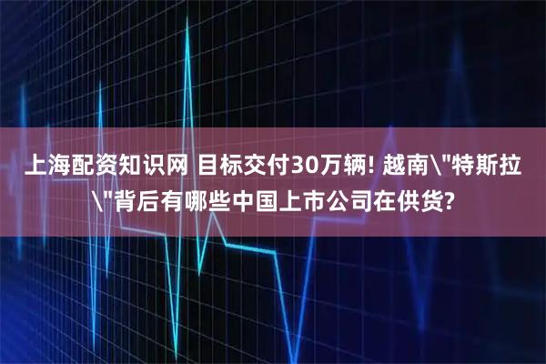 上海配资知识网 目标交付30万辆! 越南＂特斯拉＂背后有哪些中国上市公司在供货?