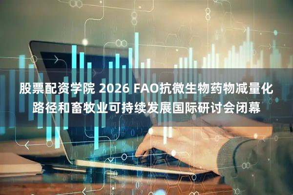 股票配资学院 2026 FAO抗微生物药物减量化路径和畜牧业可持续发展国际研讨会闭幕